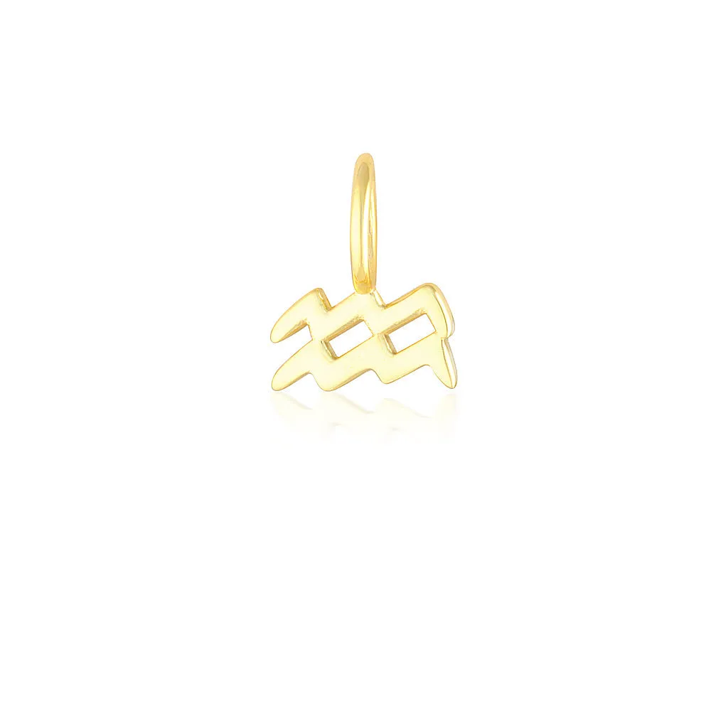 Aquarius Charm