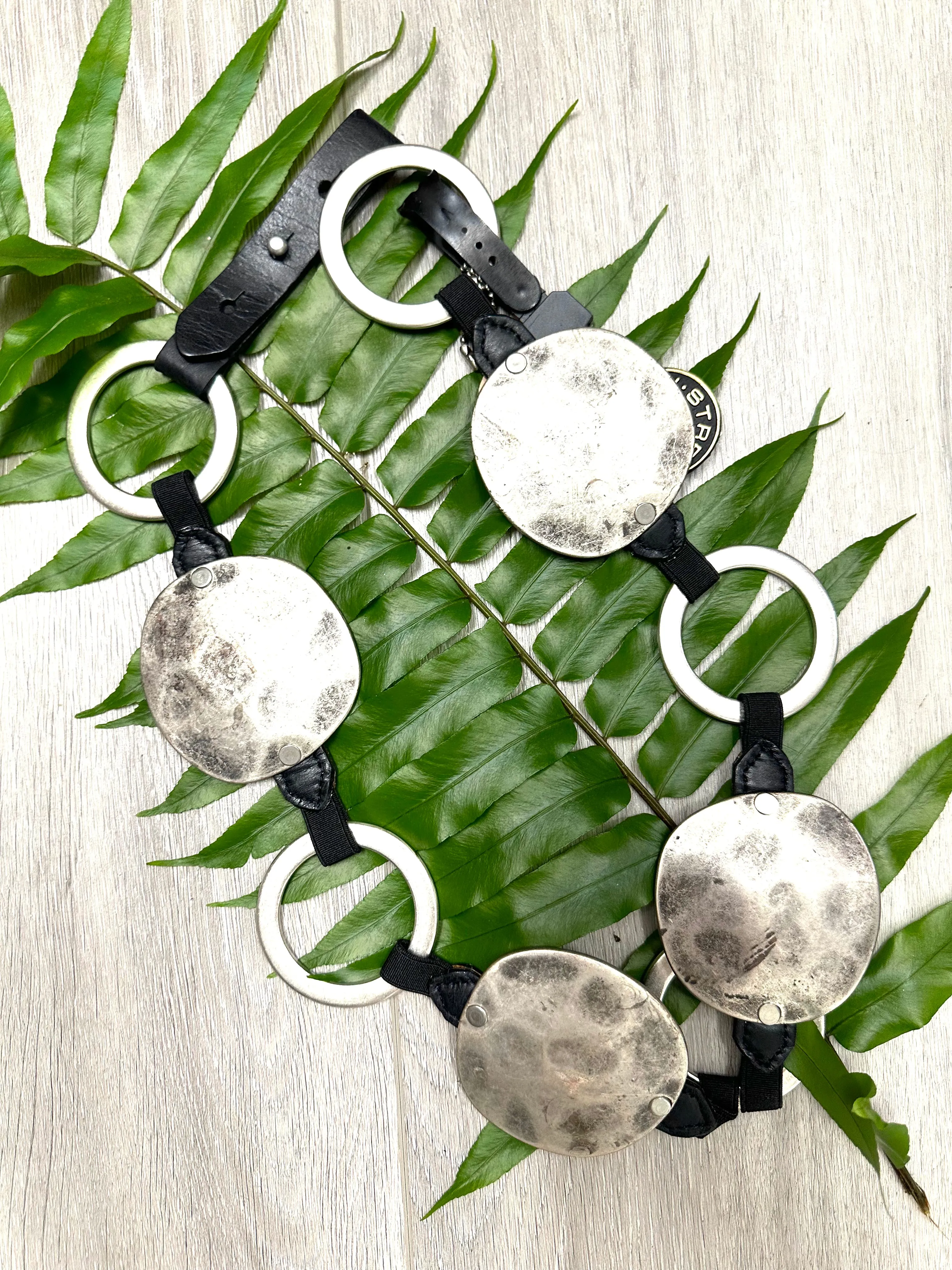 Rings & Disc Belt