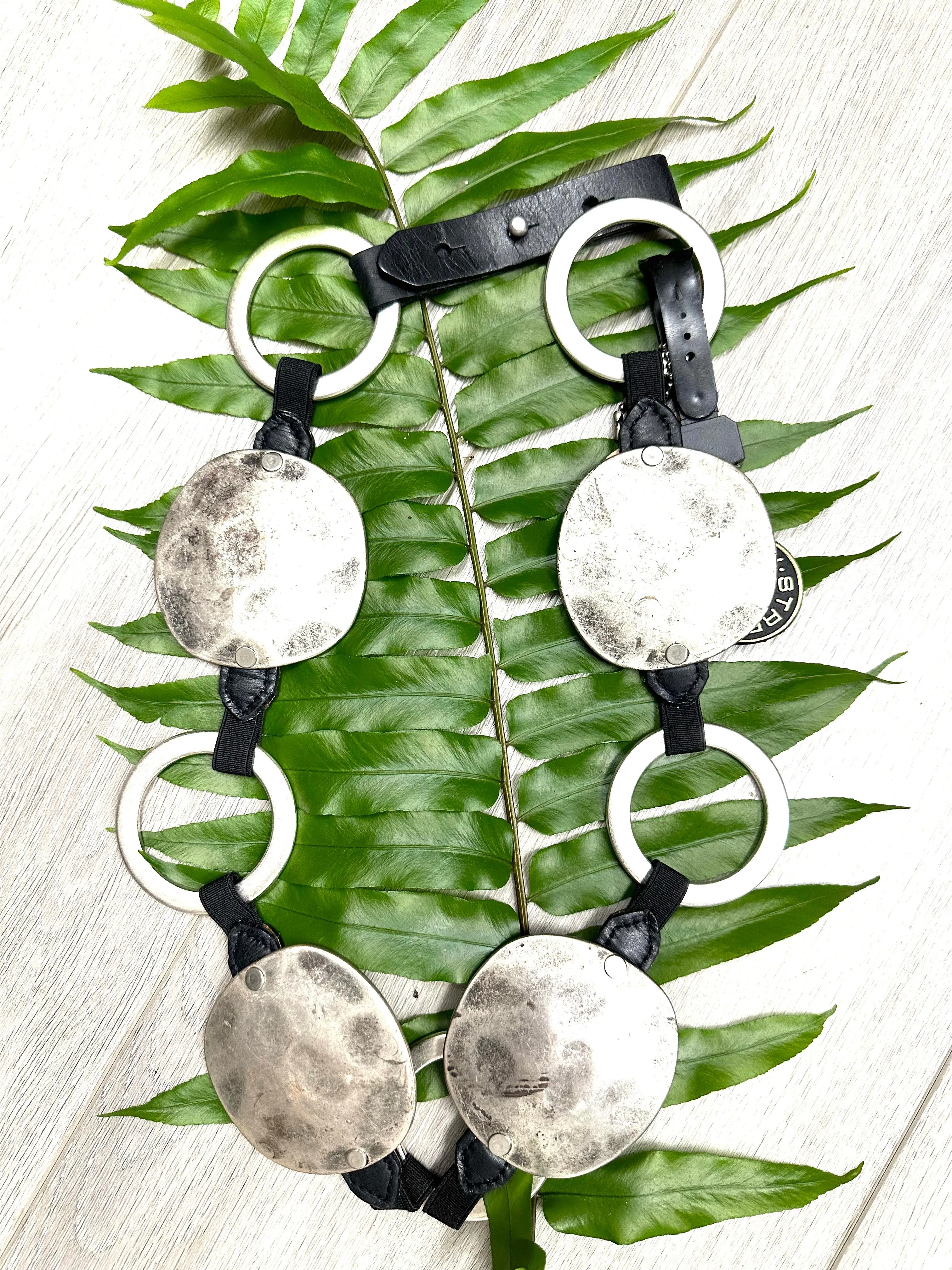 Rings & Disc Belt