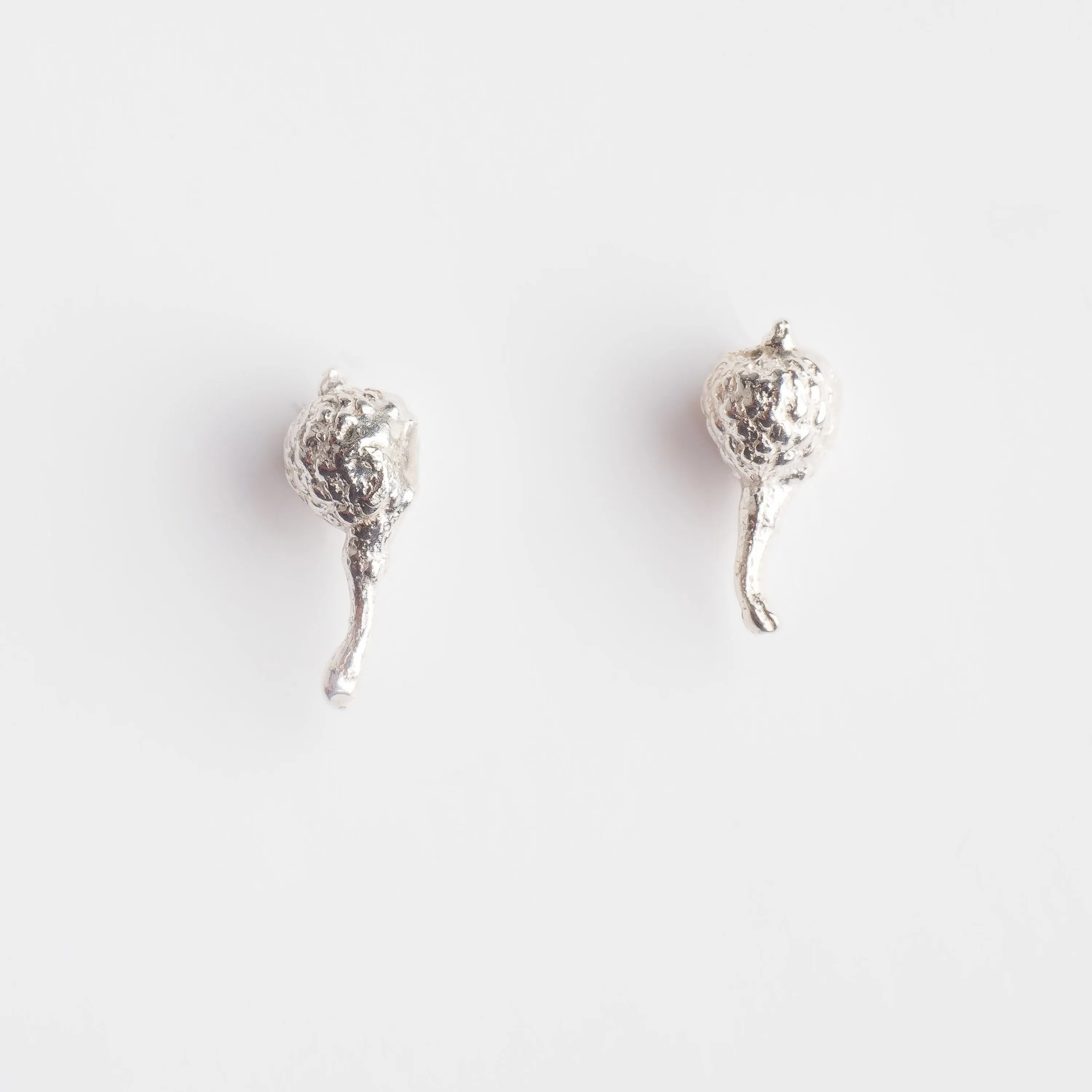 Tiny acorn seed with twig - stud earrings - silver 925